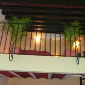 Looking Up Photo